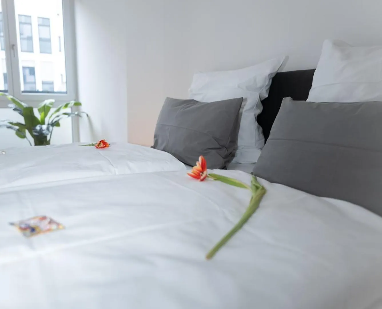 Keyhosting Apartment Zentral Parkplatz Aschaffenburg 0*,